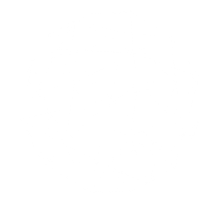 polyhedron